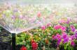 Future Green Irrigation equips customers for the hot summer days just ahead